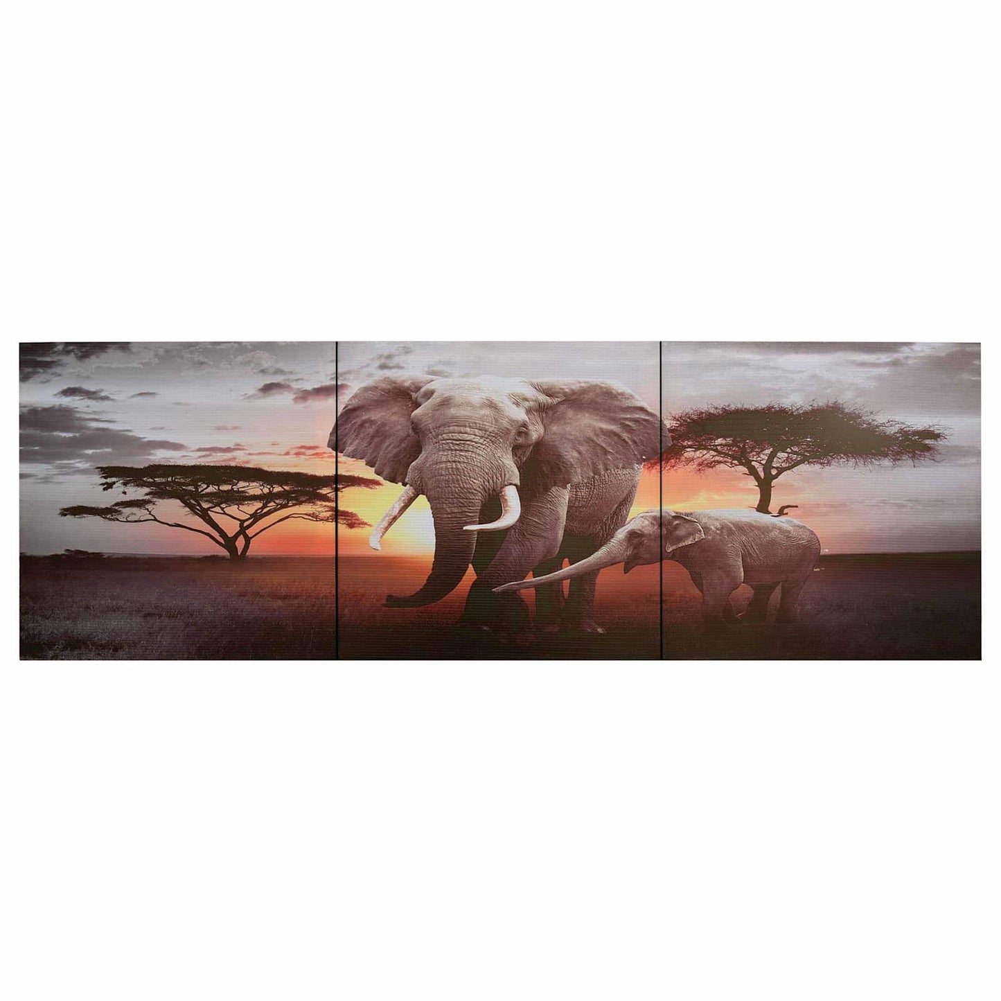 Painting su tela Stampa animale Multicolore 120 x 40 cm Tela