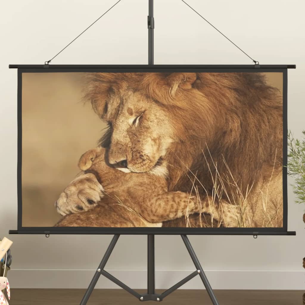 Schermo di Proiezione 50" 16:9