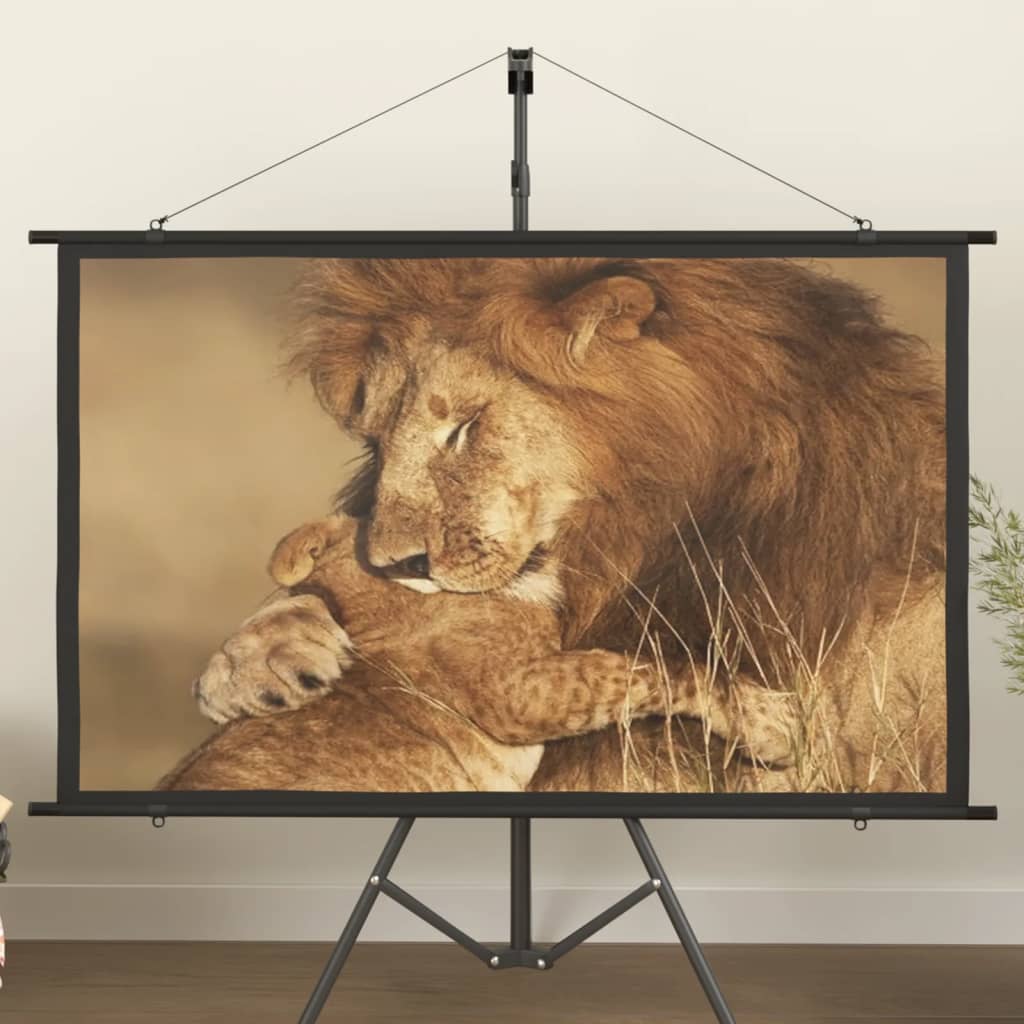 Schermo di Proiezione 60" 16:9