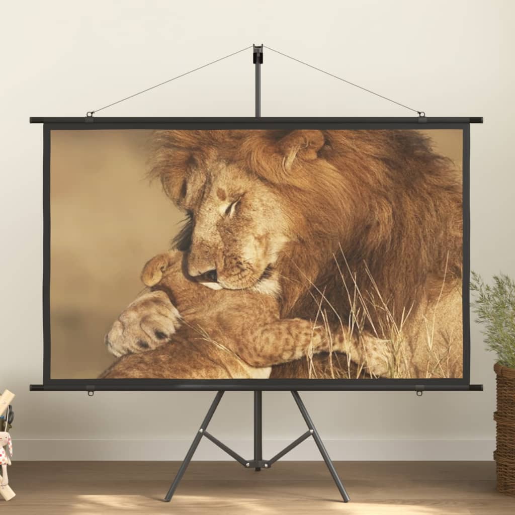 Schermo di Proiezione 72" 16:9