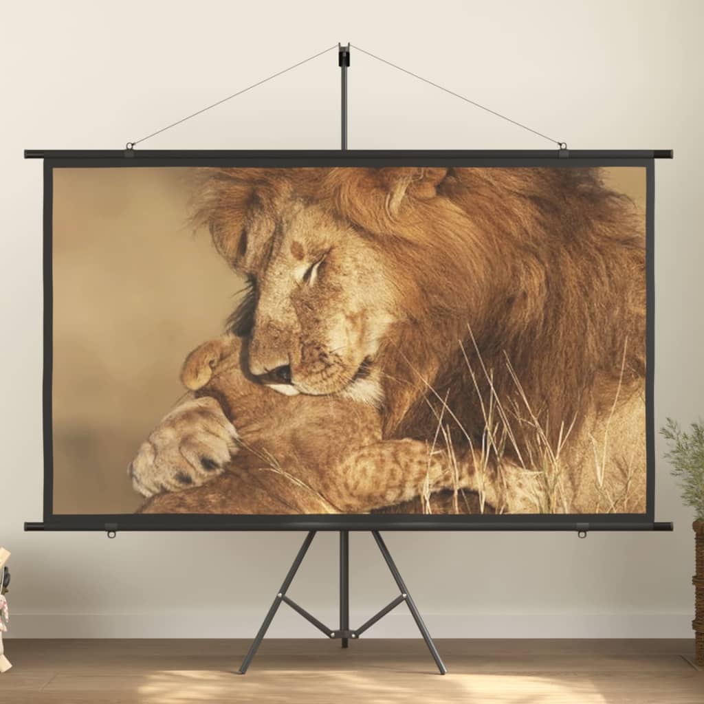 Schermo di Proiezione 90" 16:9