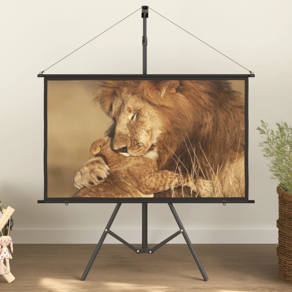 Schermo di Proiezione con Treppiedi 50" 16:9