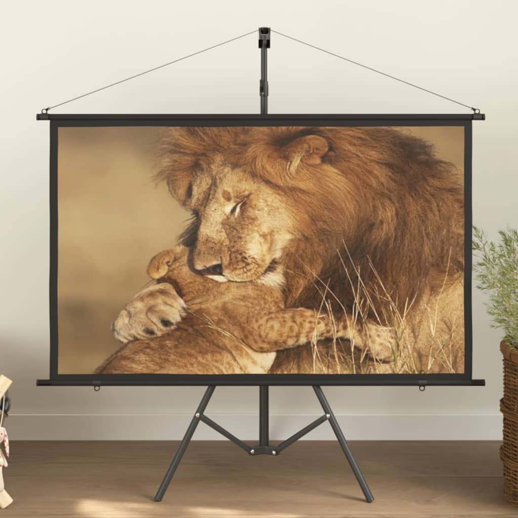 Schermo di Proiezione con Treppiedi 60" 16:9