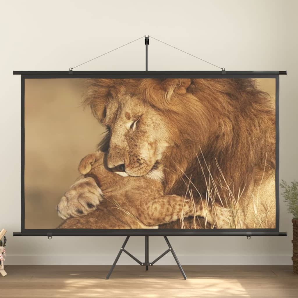 Schermo di Proiezione con Treppiedi 100" 16:9