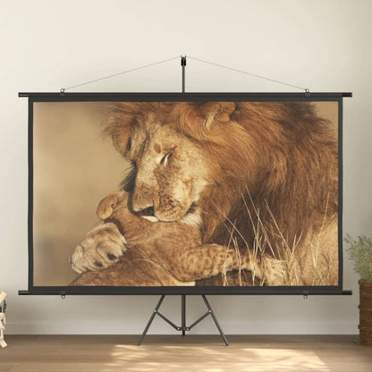 Schermo di Proiezione con Treppiedi 108" 16:9