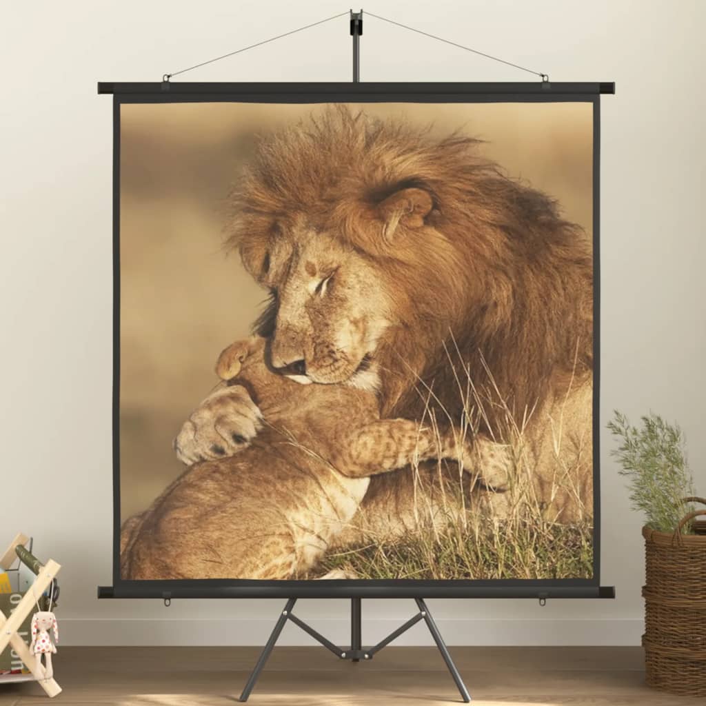 Schermo di Proiezione con Treppiedi 50"/226 cm 1:1