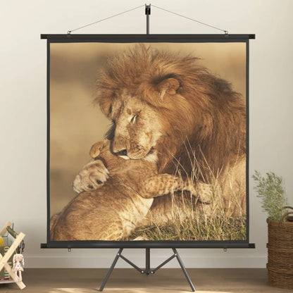 Schermo di Proiezione con Treppiedi 50"/226 cm 1:1