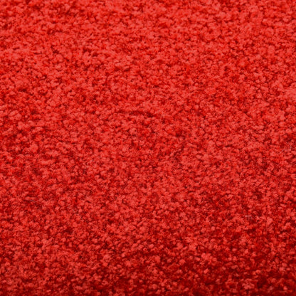 Zerbino Lavabile Rosso 90x120 cm