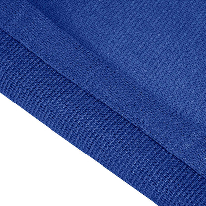 Tappeto da Tenda 300x500 cm Blu in HDPE