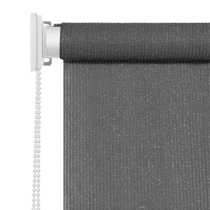 Tenda a Rullo per Esterni 60x230 cm Antracite