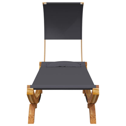 Lettino con Tettuccio 100x200x126 cm in Legno Curvato Antracite