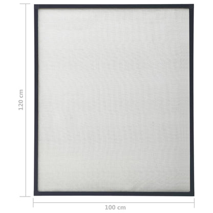 Zanzariera per Finestre Antracite 100x120 cm