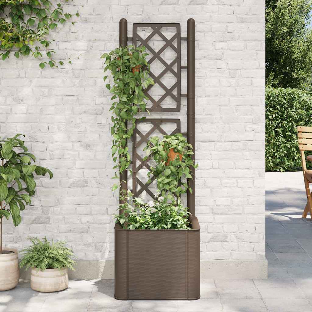 Letto Rialzato da Giardino con Graticcio e Irrigazione Moca