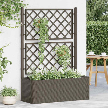 Letto Rialzato da Giardino con Graticcio e Irrigazione Moca