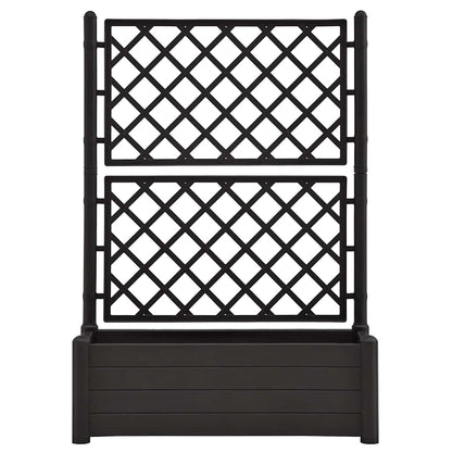 Fioriera da Giardino con Graticcio 100x43x142 cm PP Antracite