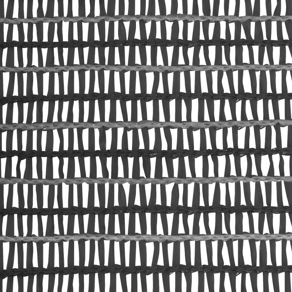 Rete per Privacy Antracite 2x10 m in HDPE 150 g/mÂ²