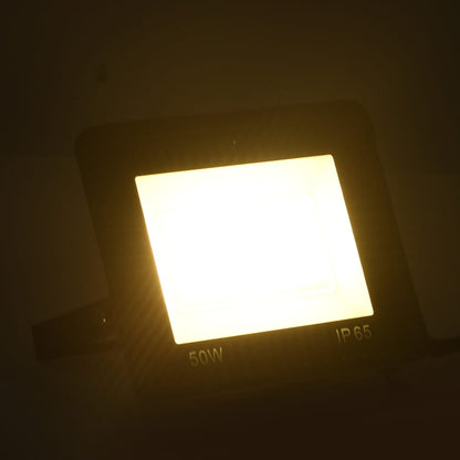 Faretti a LED 2 pz 50 W Bianco Caldo