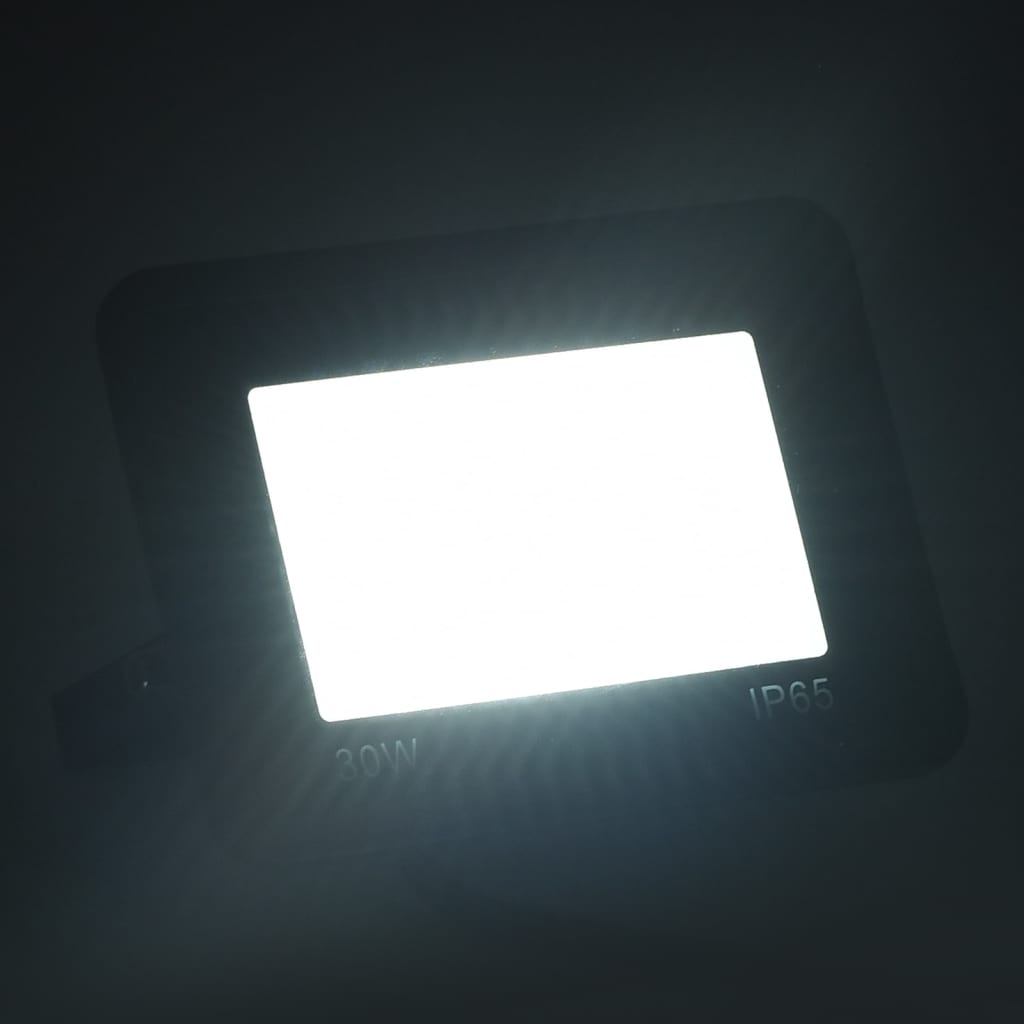 Faretti a LED 2 pz 30 W Bianco Freddo