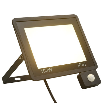 Faretto a LED con Sensore 100 W Bianco Caldo