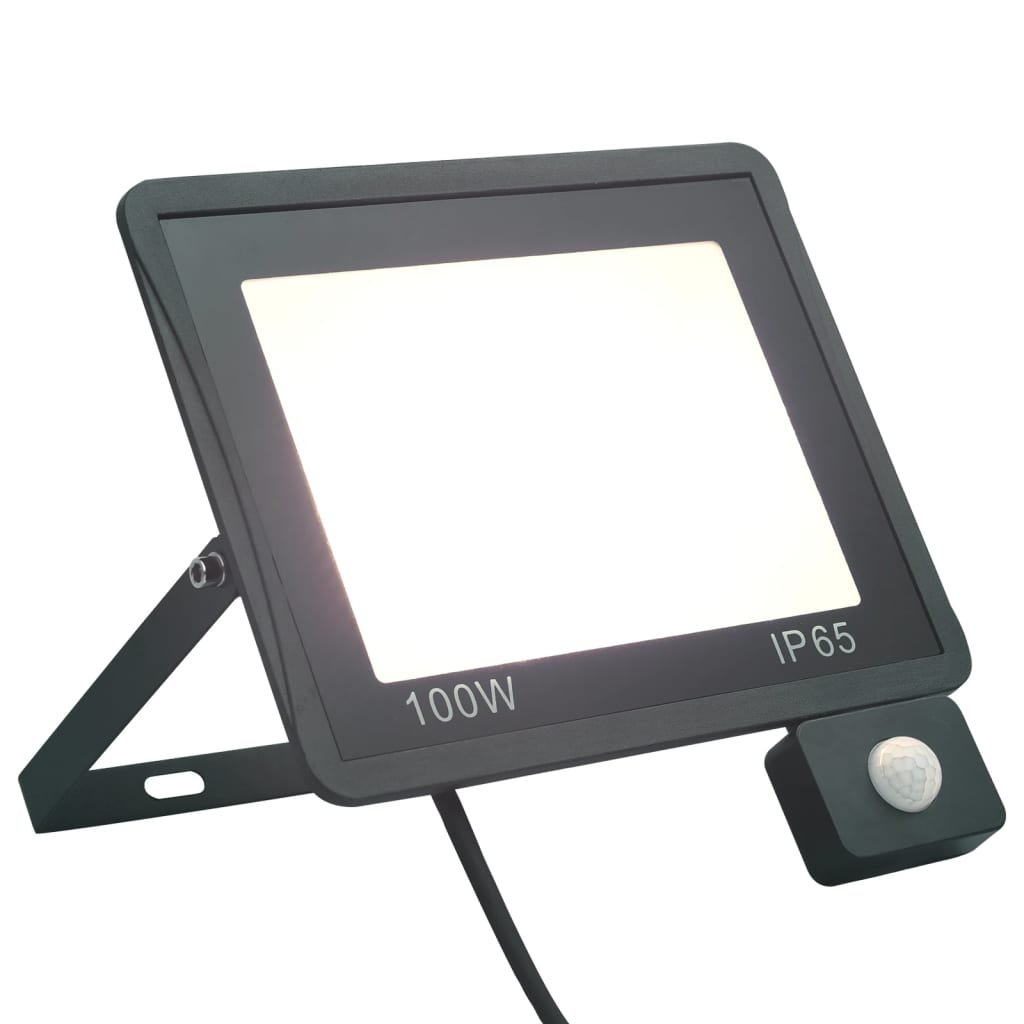 Faretto a LED con Sensore 100 W Bianco Freddo