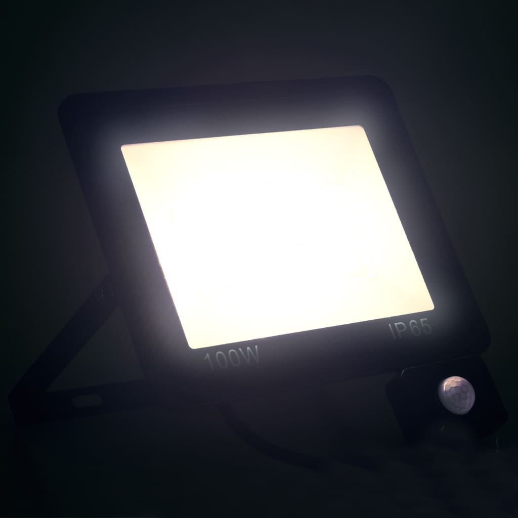 Faretto a LED con Sensore 100 W Bianco Freddo