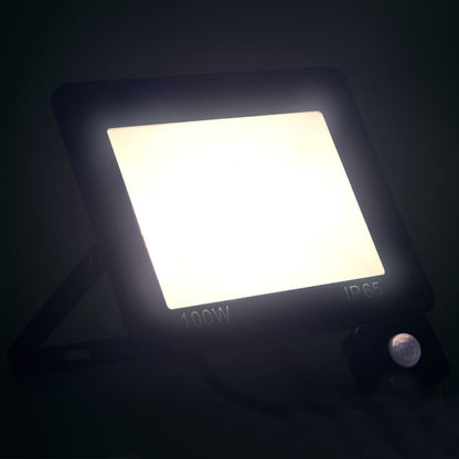 Faretto a LED con Sensore 100 W Bianco Freddo