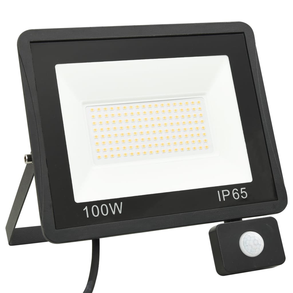 Faretto a LED con Sensore 100 W Bianco Freddo