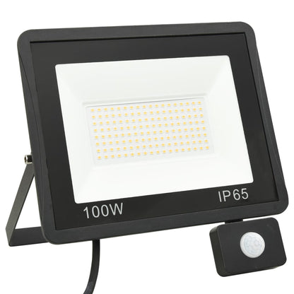 Faretto a LED con Sensore 100 W Bianco Freddo