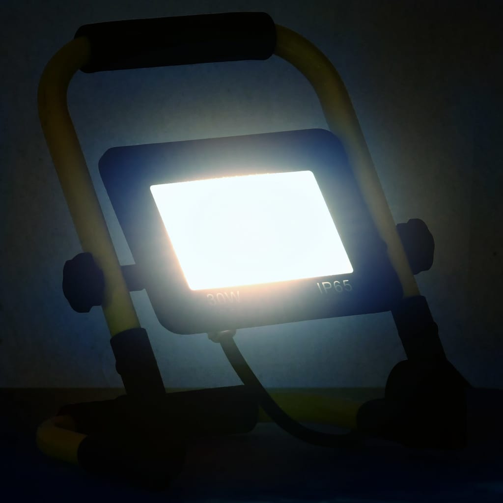 Faretto a LED con Maniglia 30 W Bianco Freddo