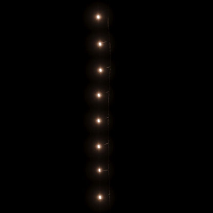 Stringa di Luci con 300 LED Bianco Caldo 30 m in PVC