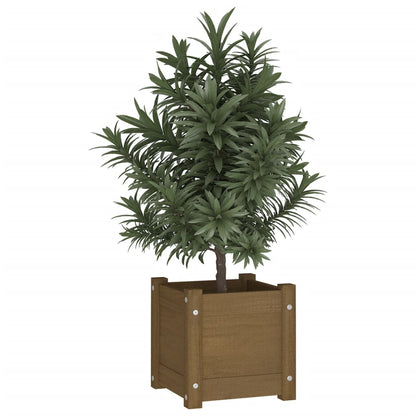 Fioriera Giardino Marrone Ambra 31x31x31 cm Legno Massello Pino