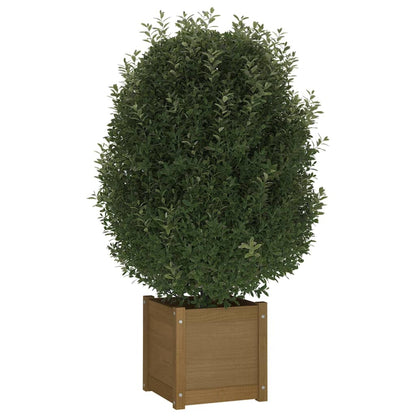 Fioriere 2 pz Ambra 40x40x81 cm in Legno Massello di Pino