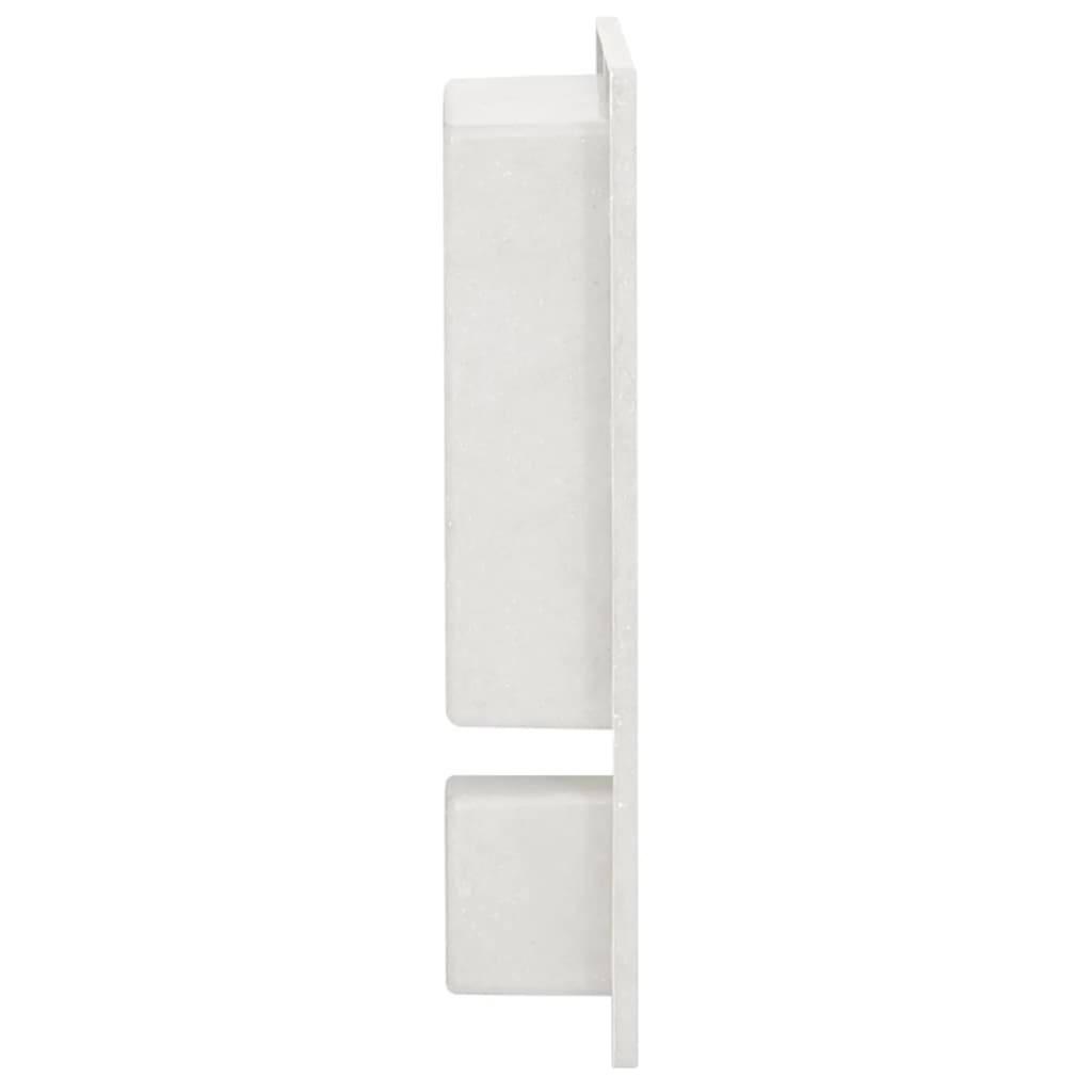 Nicchia da Doccia con 2 Scomparti Bianco Opaco 41x51x10 cm