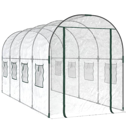 Serra Trasparente 160x400x190 cm PVC Acciaio Verniciato Polvere