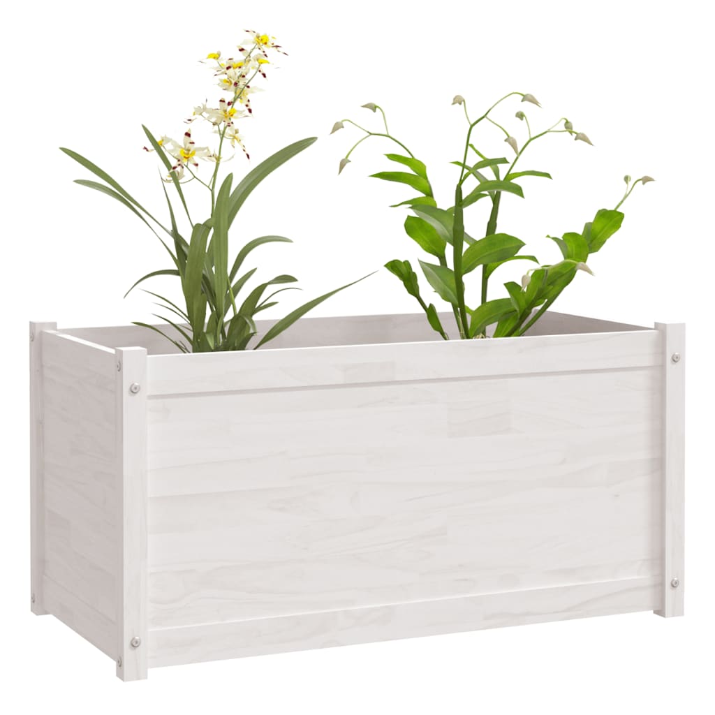 Fioriere da Giardino 2 pz Bianche 100x50x50 cm Massello di Pino
