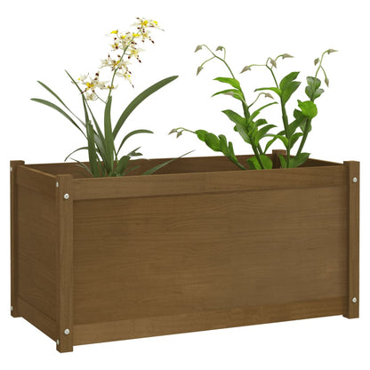 Fioriera Giardino Marrone Ambra 100x50x50cm Legno Massello Pino