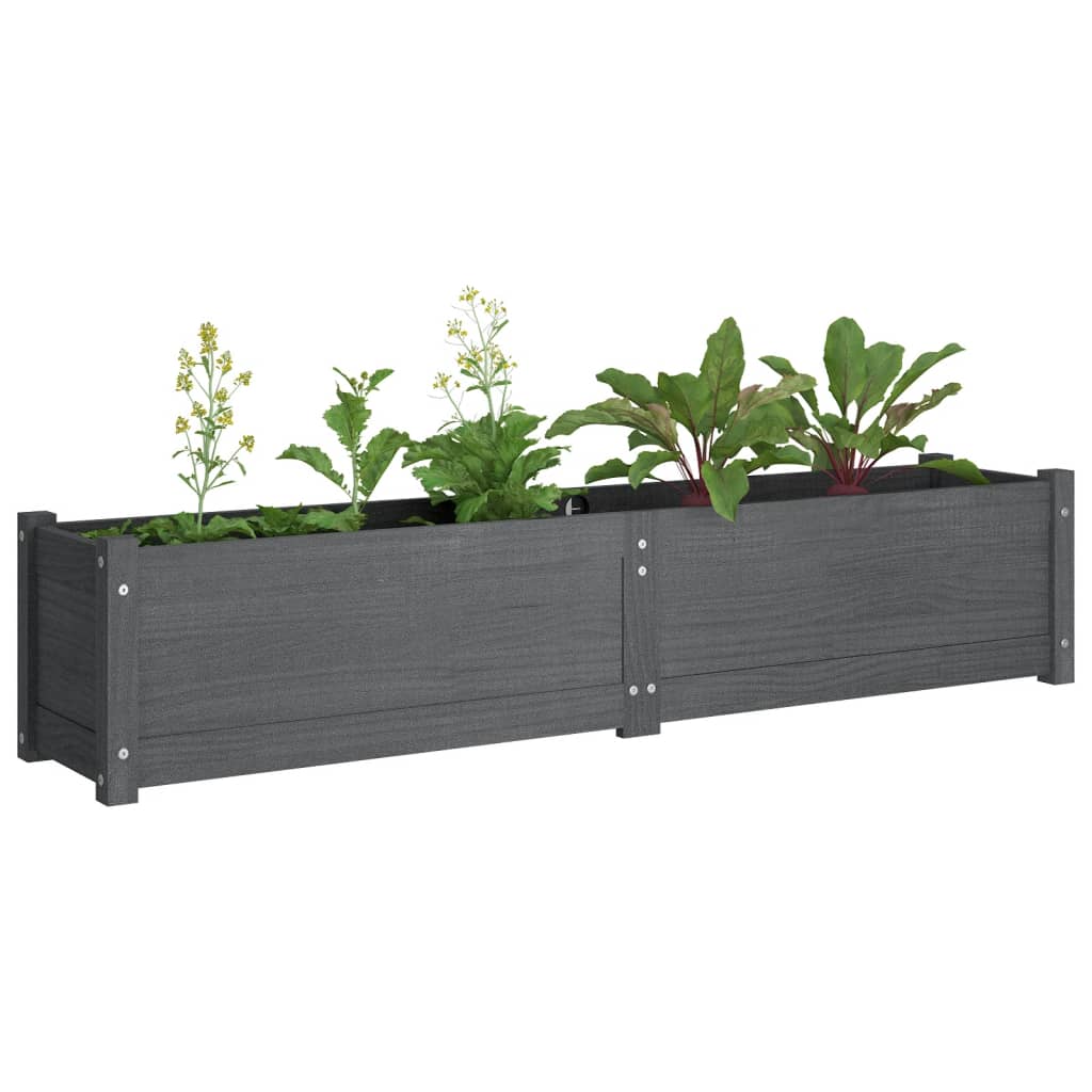 Letti Rialzati da Giardino 2 pz Grigi 150x31x31cm Legno di Pino