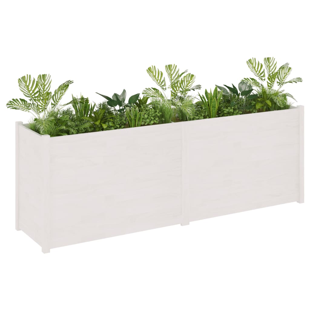 Fioriera da Giardino Bianca 200x50x70 cm in Legno di Pino