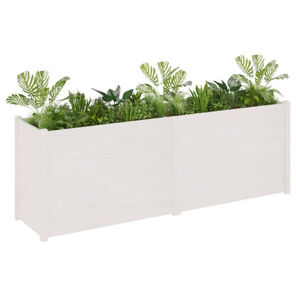 Fioriera da Giardino Bianca 200x50x70 cm in Legno di Pino