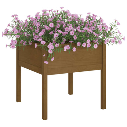 Fioriera Giardino Marrone Ambra 70x70x70 cm Legno Massello Pino