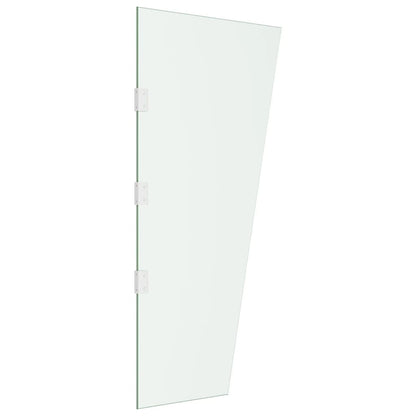 Pannello Laterale Tettoia Trasparente 50x100 cm Vetro Temperato