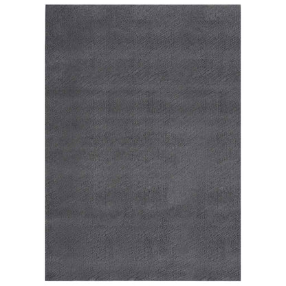 Tappeto Soffice Pelo Corto 160x230 cm Antiscivolo Antracite