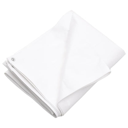 Telone 260 g/mÃ‚Â² 2x3 m Bianco HDPE