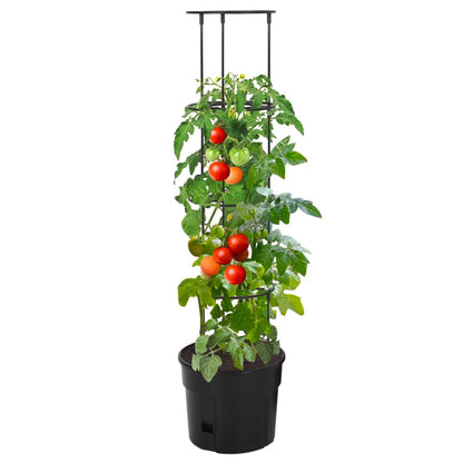 Vaso a Torre per Pomodori Antracite ÃƒËœ29,5x115 cm Polipropilene