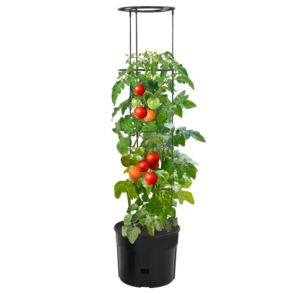 Vaso a Torre per Pomodori Antracite ÃƒËœ39x150 cm Polipropilene