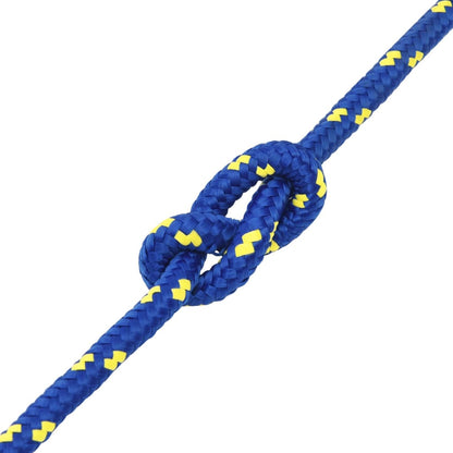 Corda per barca Blu 12 mm 100 m in Polipropilene