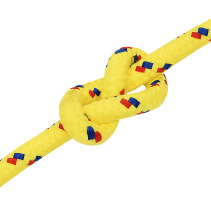 Corda per barca Gialla 12 mm 100 m in Polipropilene