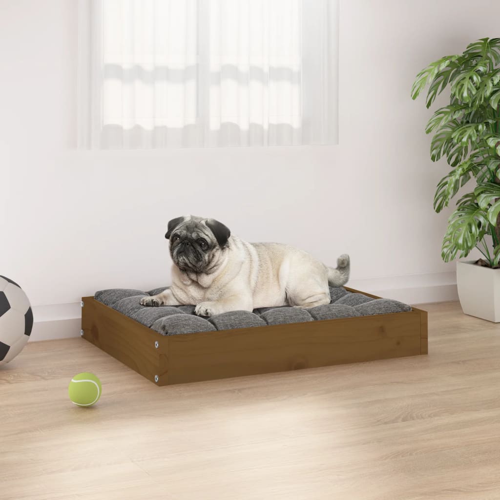 Cuccia per Cani Ambrata 61,5x49x9 cm in Legno Massello di Pino