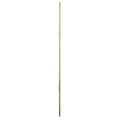 Specchio da Parete Dorato 50x35 cm