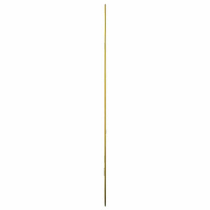 Specchio da Parete Dorato 70x45 cm